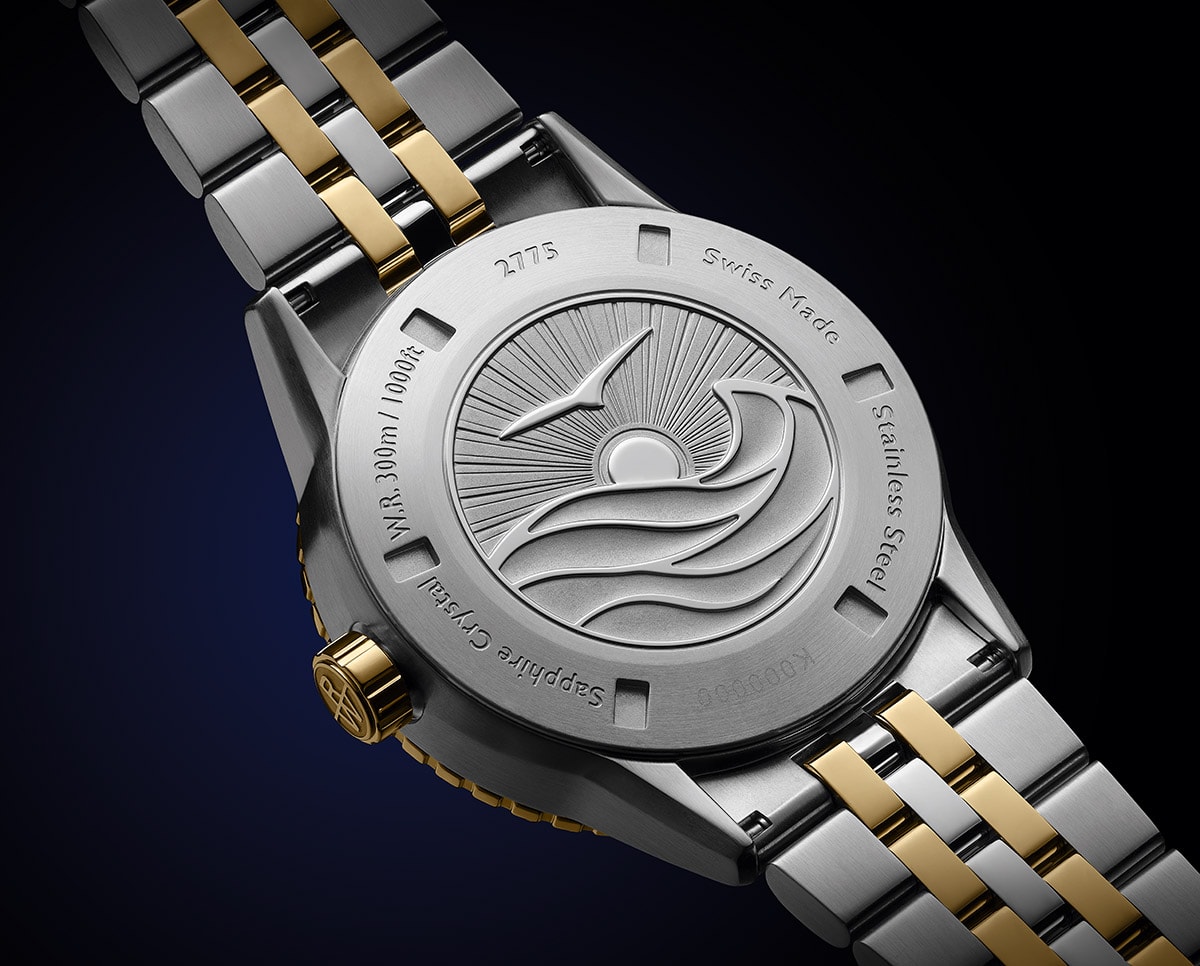 Raymond Weil Freelancer Diver pozadina
