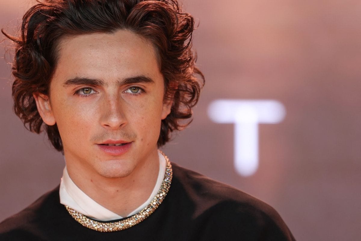 timoti salame stil nakit timothee chalamet 05